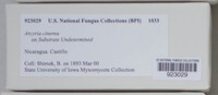 Image Associated With the Occurence